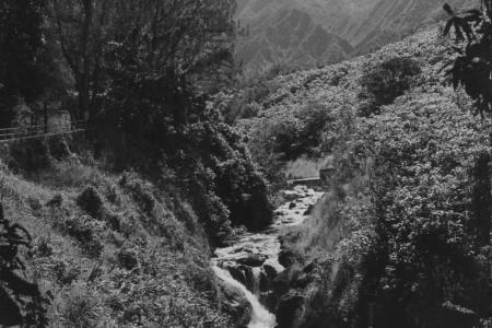 ‘Auwai of Nu‘uanu Valley - Ka‘iwakīloumoku - Hawaiian Cultural Center