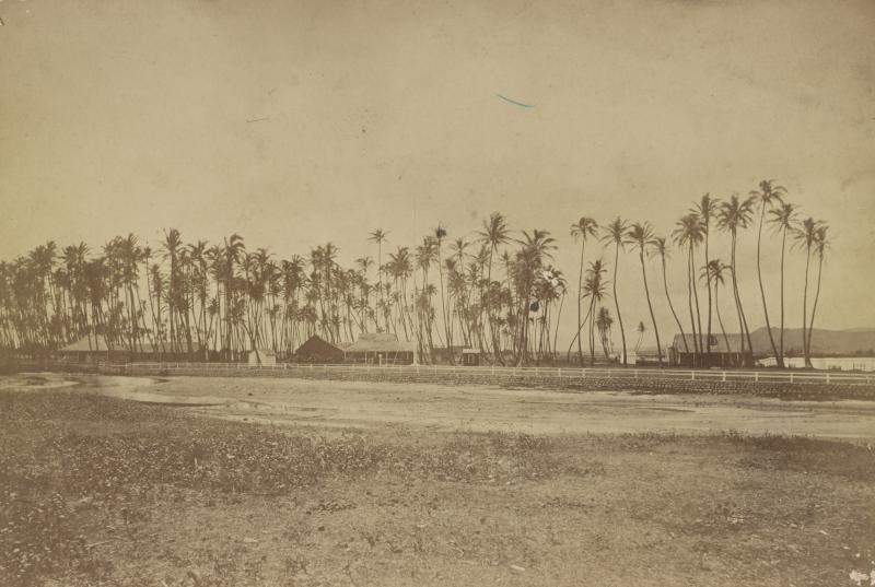 Lot kapuaiwa hale at helumoa 1880 - library of congress  large